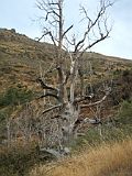 Ruta Sulayr 19-10-2013 17